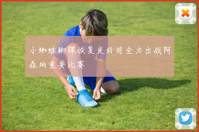 小蜘蛛脚踝恢复良好将全力出战阿森纳重要比赛